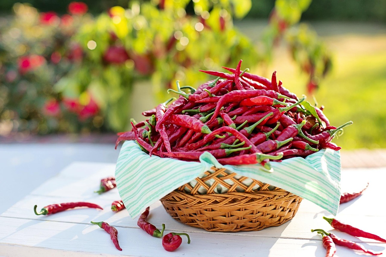 Authentic Mexican spices and chili peppers